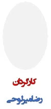 رضا میر لوحی