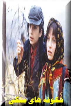 دانلود فیلم سینمایی شکوفه های سنگی