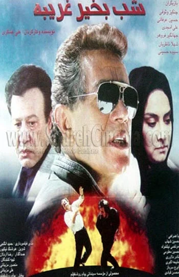 دانلود فیلم سینمایی شب بخیر غریبه